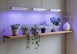 Plant Light